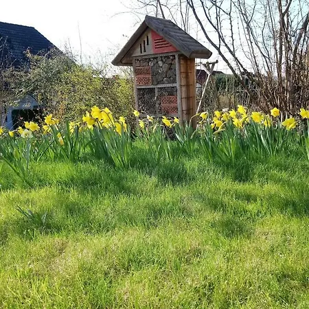 Familie Balko * Arnsberg